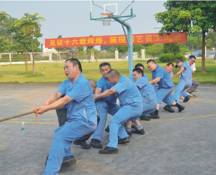 職業(yè)人生 